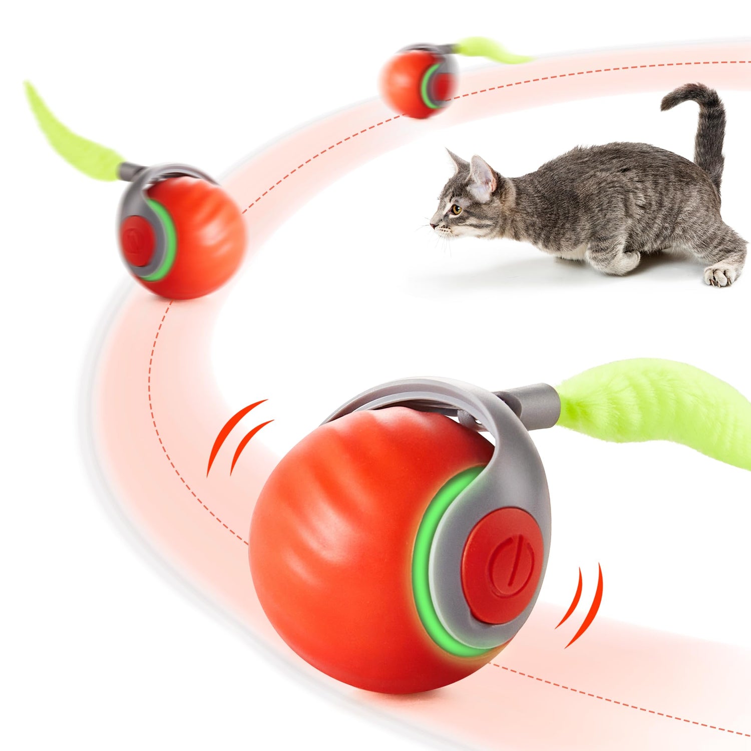Cat Toys