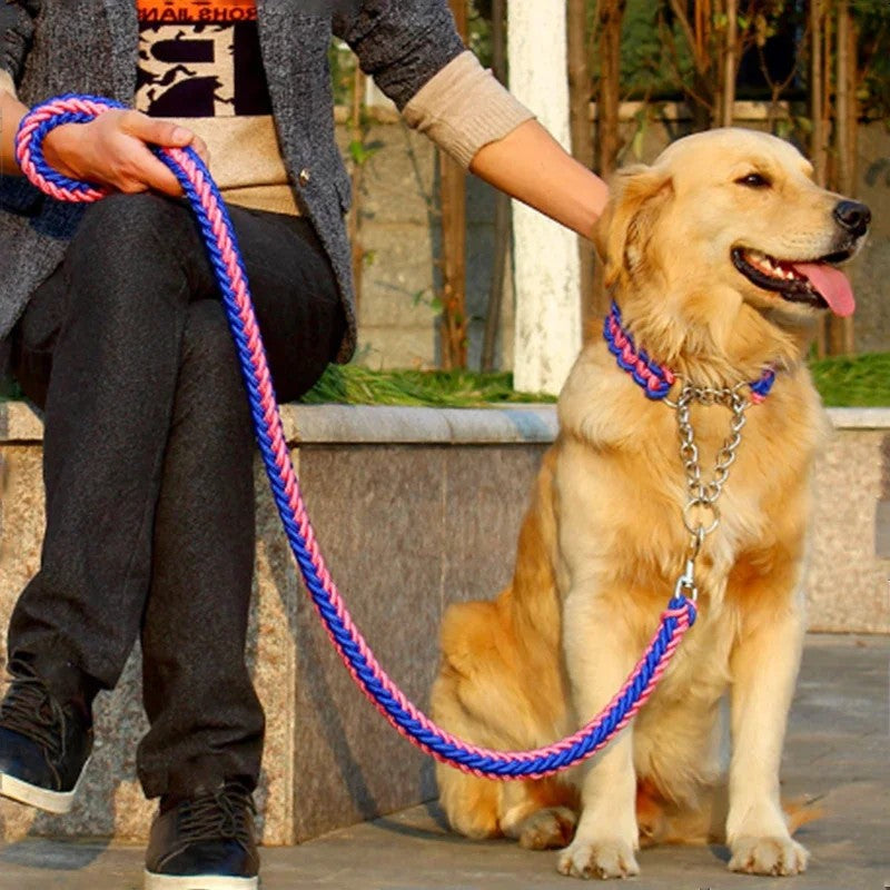 Dog Collars