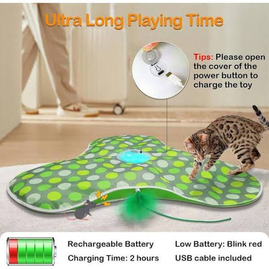 Cat toys